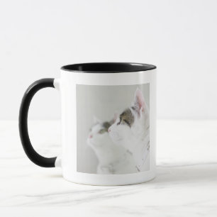 Caneca Gatos