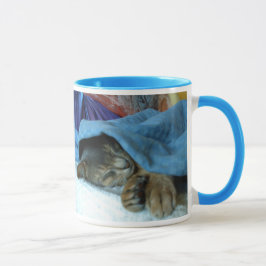 Caneca Gatos Abissinérgicos
