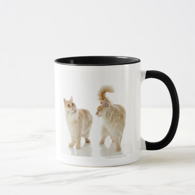 Caneca Gatos de Munchkin (Direita)