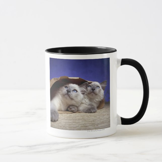 Caneca Gatos no saco de papel (Direita)