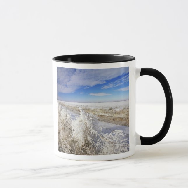 Caneca Geada branca reveste planta emaranhada e cerca pró (Direita)