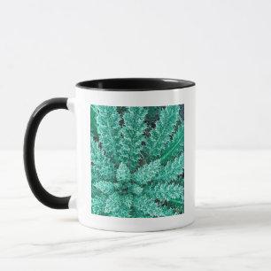 Caneca Geada no cardo, Parque Nacional Olímpico