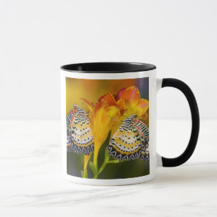 Caneca Gêmeos de Borboleta Tropical