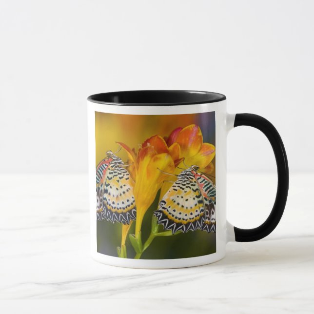 Caneca Gêmeos de Borboleta Tropical (Direita)
