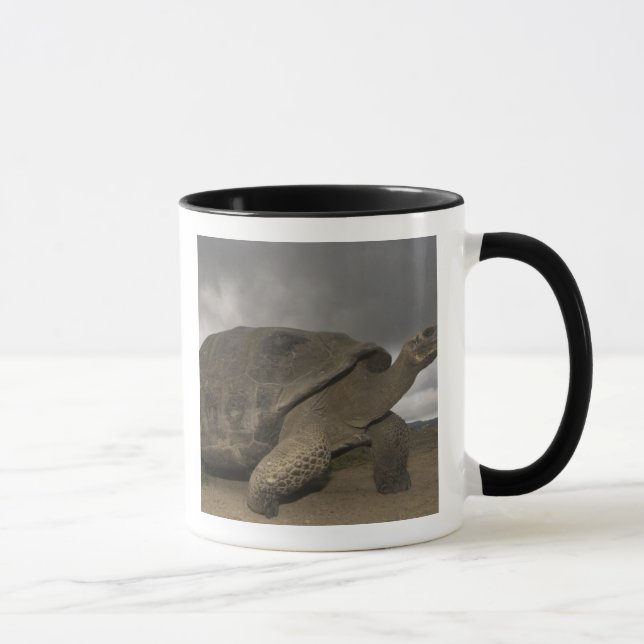 Caneca Geocelone da Tortura Gigante das Galápagos (Direita)