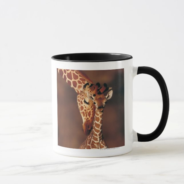 Caneca Girafa adulto com vitela (camelopardalis do (Direita)