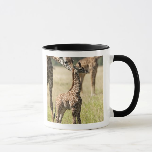 Caneca girafas Masai, Giraffa camelopardalis 2 (Direita)
