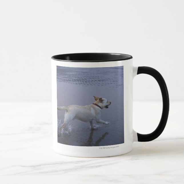 Caneca Gloucester, Massachusetts, EUA (Direita)