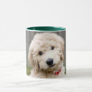 Caneca Goldendoododododle Puppy Senta Em Grama