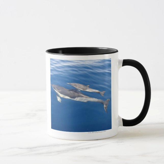 Caneca Golfinho comum no passo (Direita)