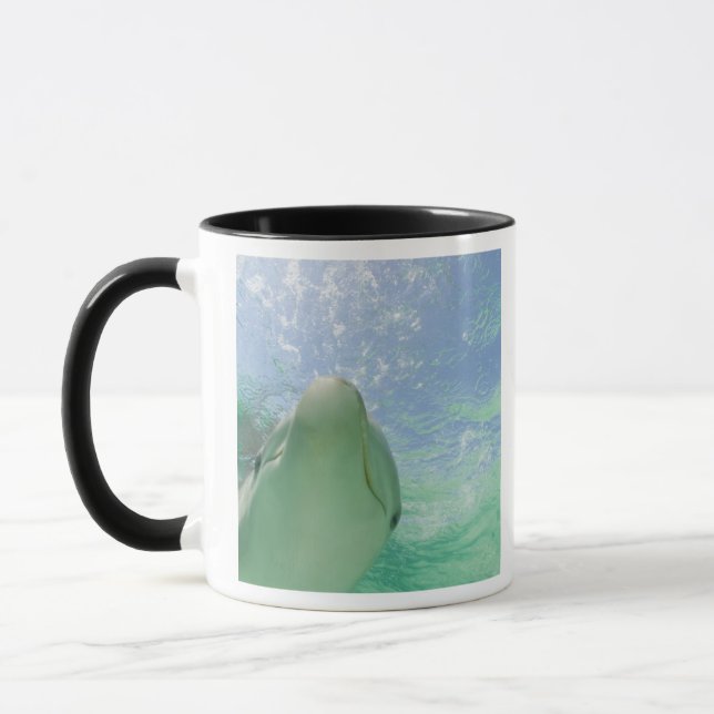 Caneca Golfinho Nariz-de-Garrafa Tursiops truncatus) (Esquerda)