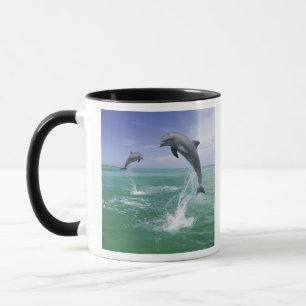 Caneca Golfinho-nariz-de-garrafa Tursiops truncatus