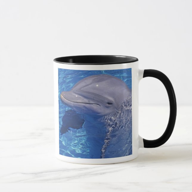 Caneca Golfinho Nariz-de-Garrafa, Tursiops Truncatus (Direita)