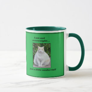 Caneca gorda nao excesso de peso do gato