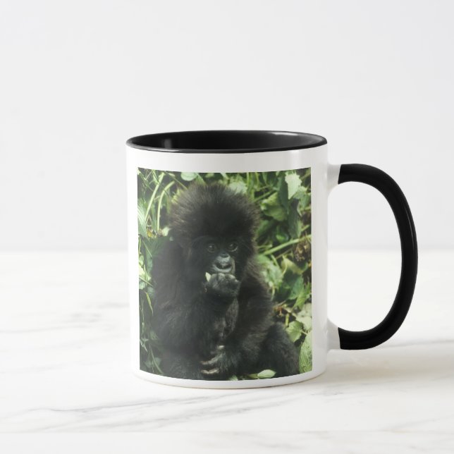 Caneca Gorila da Montanha, (Gorilla gorilla beringei), (Direita)
