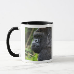 Caneca Gorila da planície do Silverback, cativo do goril