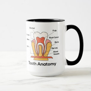 Caneca Gráfico de Anatomia dos Dentes