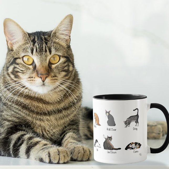 Caneca Gráfico de Treinamento de Comandos de Gato Diverti (Criador carregado)