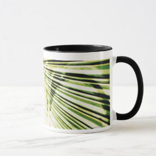 Caneca Grafites em um obturador