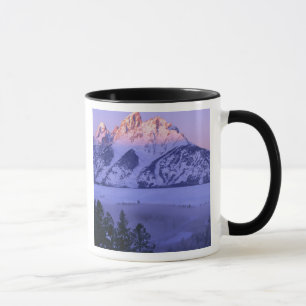 Caneca GRAND TETON NATIONAL PARK, WYOMING. EUA. Nevoeiro 