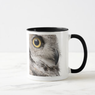 Caneca Grande coruja Horned - bubão Virginianus