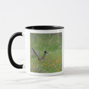 Caneca Grande Papa-Léguas, Geococcyx