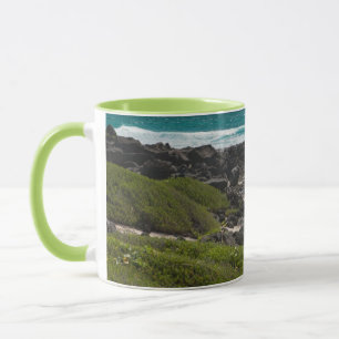 Caneca Grande tartaruga na borda do mar