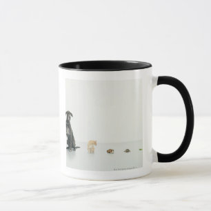 Caneca Great dane, gato, cobaia, tartaruga e slug