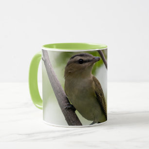 Caneca Green Bird, Red Eyed Vireo, Fotografia Canadiana