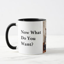 Grumpy Office Cat Lendo o jornal