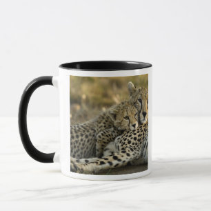 Caneca Guepardo, Acinonyx jubatus, com filhote no Masai 2