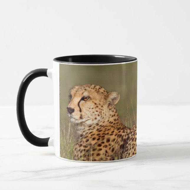Caneca Guepardo Deitado Na Grama, Conservação Do Ngorongo (Esquerda)