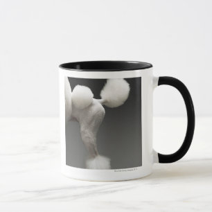 Caneca Haunches da caniche, no fundo cinzento