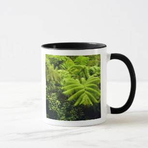 Caneca Havaí, Ilha Grande, Vegetação tropical exuberante 