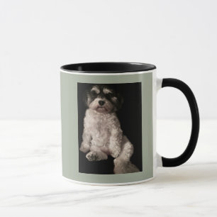 Caneca Havanese-pnha a imagem do seu cão aqui