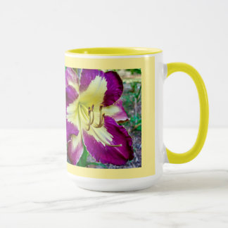Caneca Hemerocallis 'Spacecoast Art Deco'