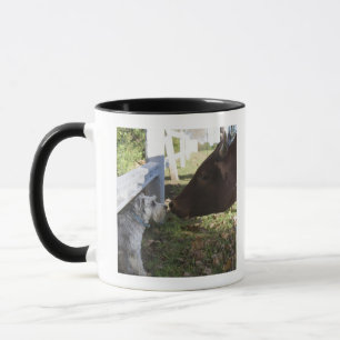 Caneca Hilton, província de Midlands, Kwazulu Natal, sul