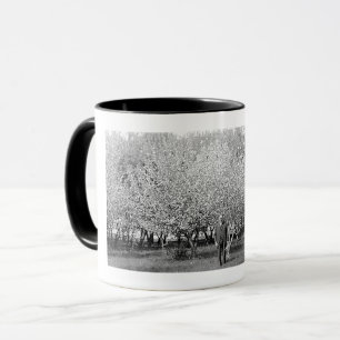 Caneca Homem Americano em Pomar Real Photo Coffee Mug