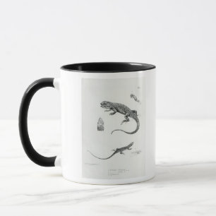 Caneca Iguana Shingled
