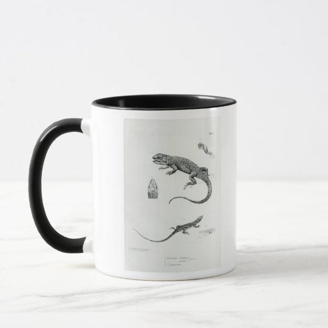 Caneca Iguana Shingled (Esquerda)