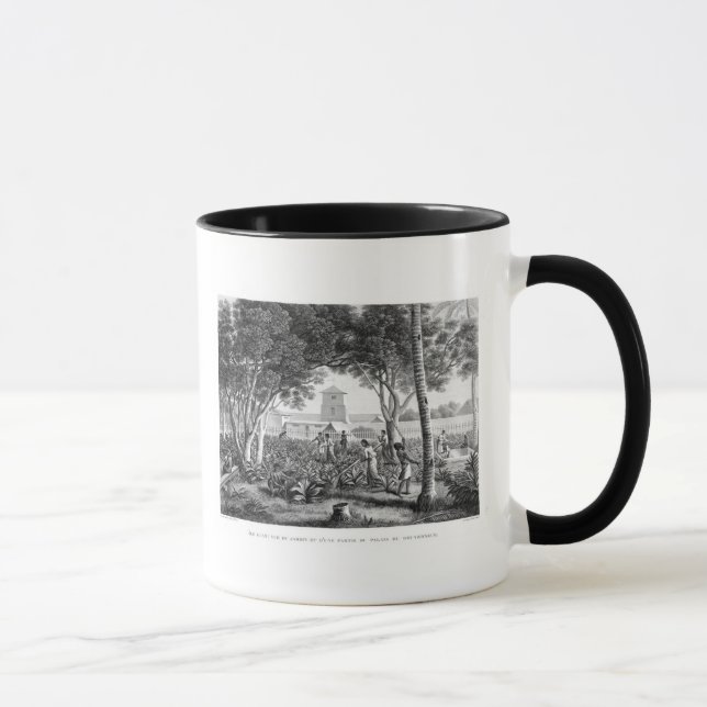 Caneca Ilha de Guam: Nativos no trabalho no jardim de t (Direita)