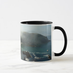 Caneca Ilha nevoenta de Anacapa em ilhas channel