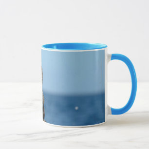 Caneca Ilhas Galápagos, Ilha Isabela