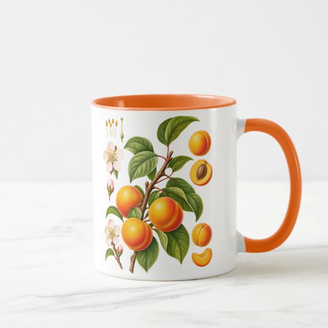Caneca Ilustração Botânica Vintage de Damasco (Direita)