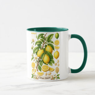 Caneca Ilustração Botânica Vintage de Limão
