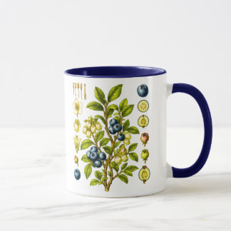 Caneca Ilustração Botânica Vintage de Mirtilo Azul