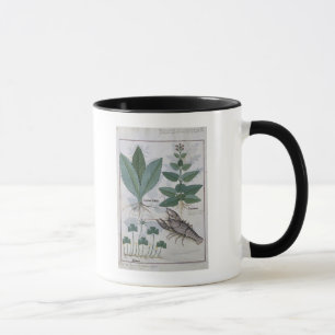 Caneca Ilustração 'do livro de medicinas simples