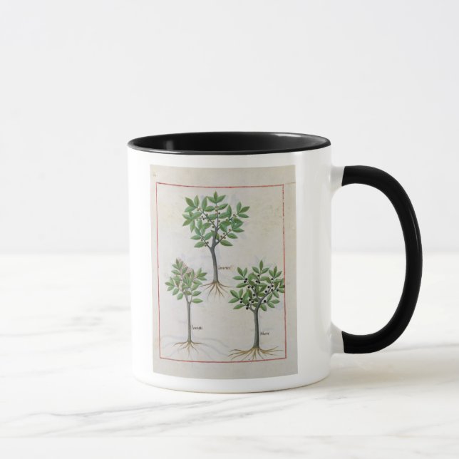 Caneca Ilustração 'do livro de medicinas simples (Direita)