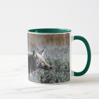 CANECA IMG_0328