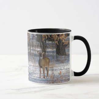 CANECA IMG_0532, IMG_0532